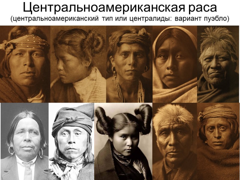 Центральноамериканская раса (центральноамериканский тип или централиды: вариант пуэбло)